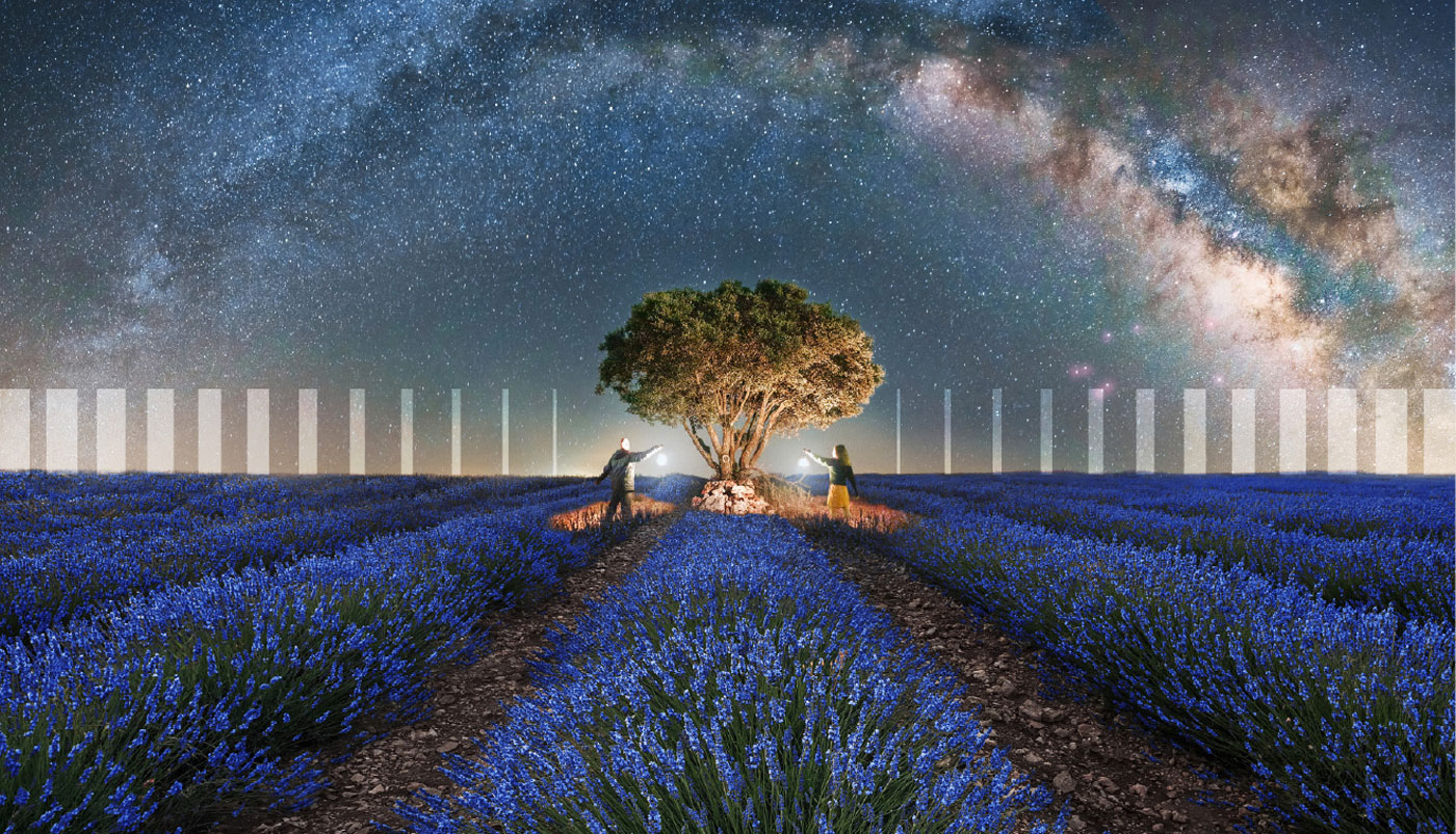 two people under a tree with lanterns in a lavender field at night under a starry sky.