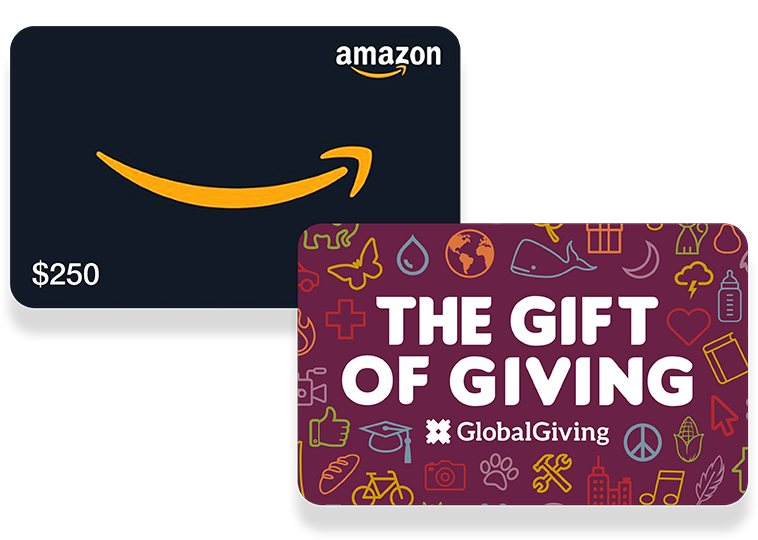 Two gift cards, one for Amazon with logo for $250 and the other for Global Giving